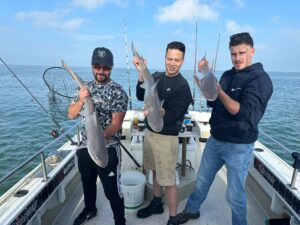 Big game fishing kan ook op de Noordzee klanten met 3 haaien