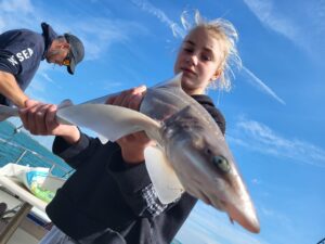 Mooie haai gevangen met vissen op de Noordzee